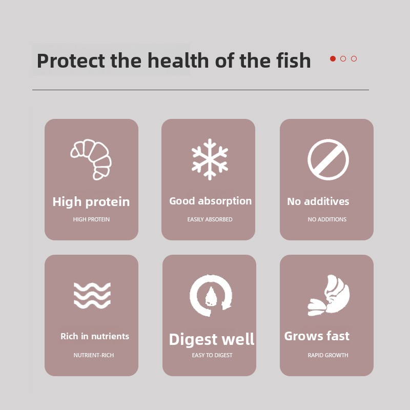 PENISON Powder Makanan Ikan Ba - Whey Protein Isolate ulasan dan harga